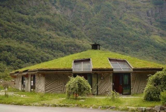 Крыши с экологическим уклоном