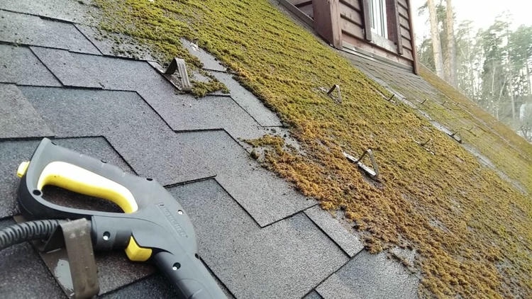 Мох на мягкой кровле как избавиться от опасного соседства