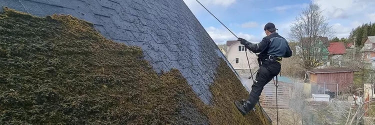 Очистка крыши от мха перед нанесением гидрофобного покрытия