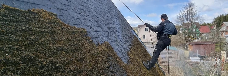 Очистка крыши от мха перед нанесением гидрофобного покрытия