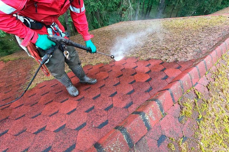 Профилактические меры от «цветения» на крыше