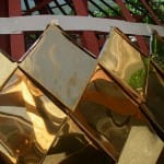 одна из разновидностей - лемех вид чешуи