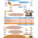 Безымянный-1