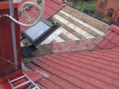 DSC 1319 e1608057091497