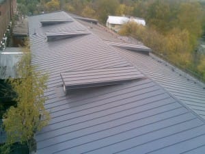 фальцевая Краснобогатырская