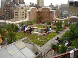 64730690 290480 s k schoolofthefutureroofgarden greenroof e1608057820352