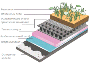 конструкция зелёной кровли