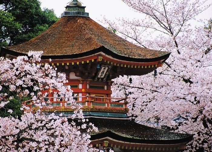 японская крыша дизайн