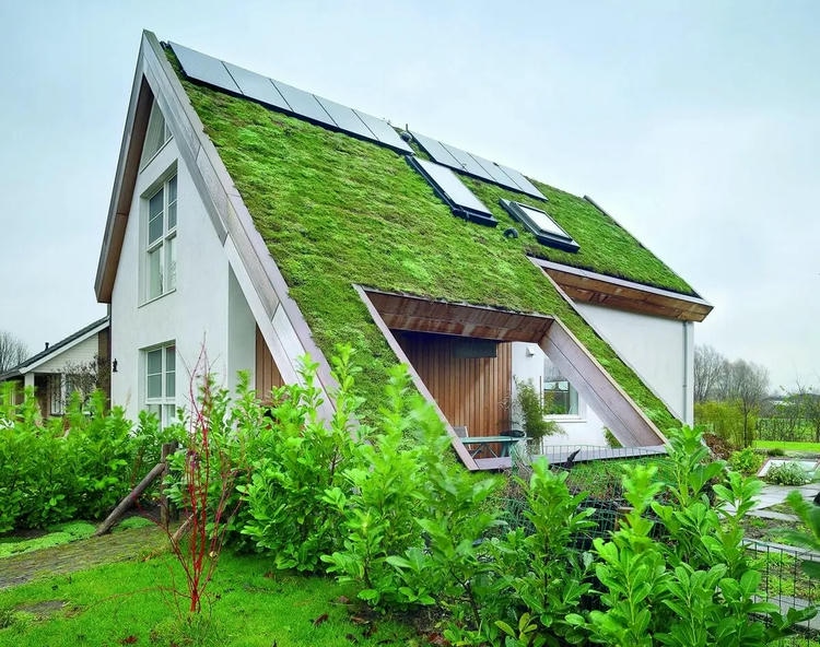 Зеленая крыша на доме