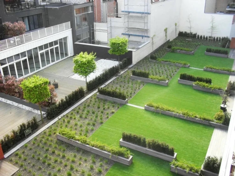 Зеленая крыша с растительностью на фоне города