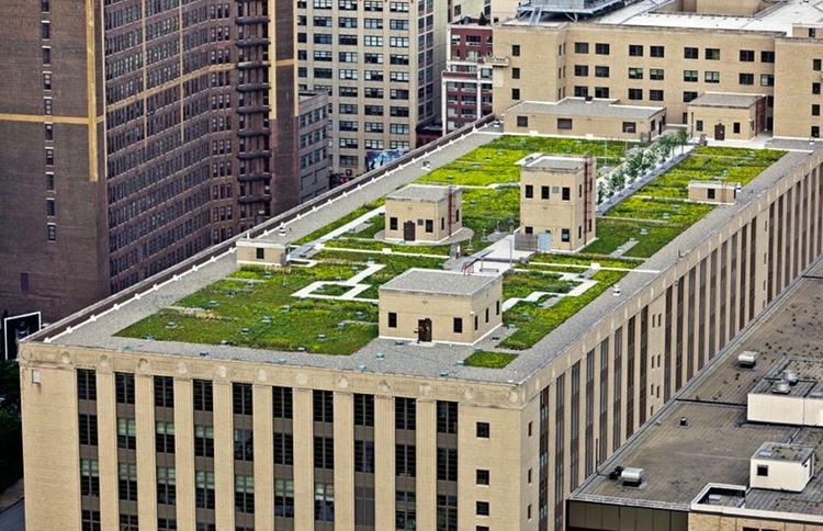 Зеленая крыша в Бруклине